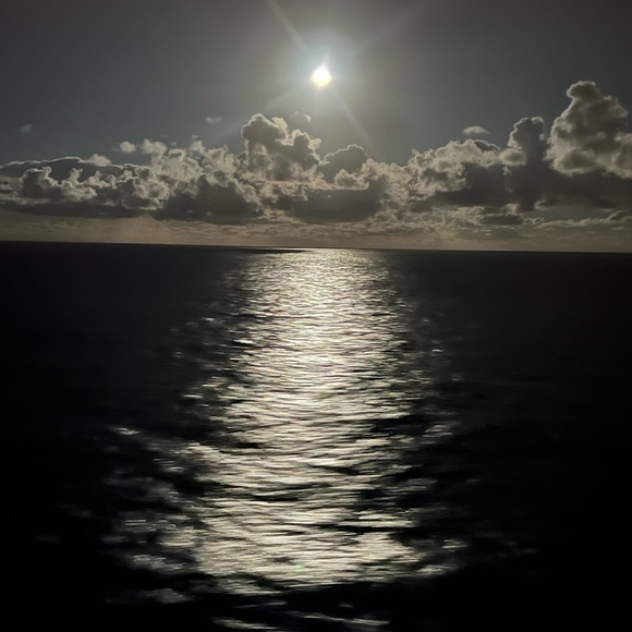 Meet your Posher, Natasha - Picture 4 of 10